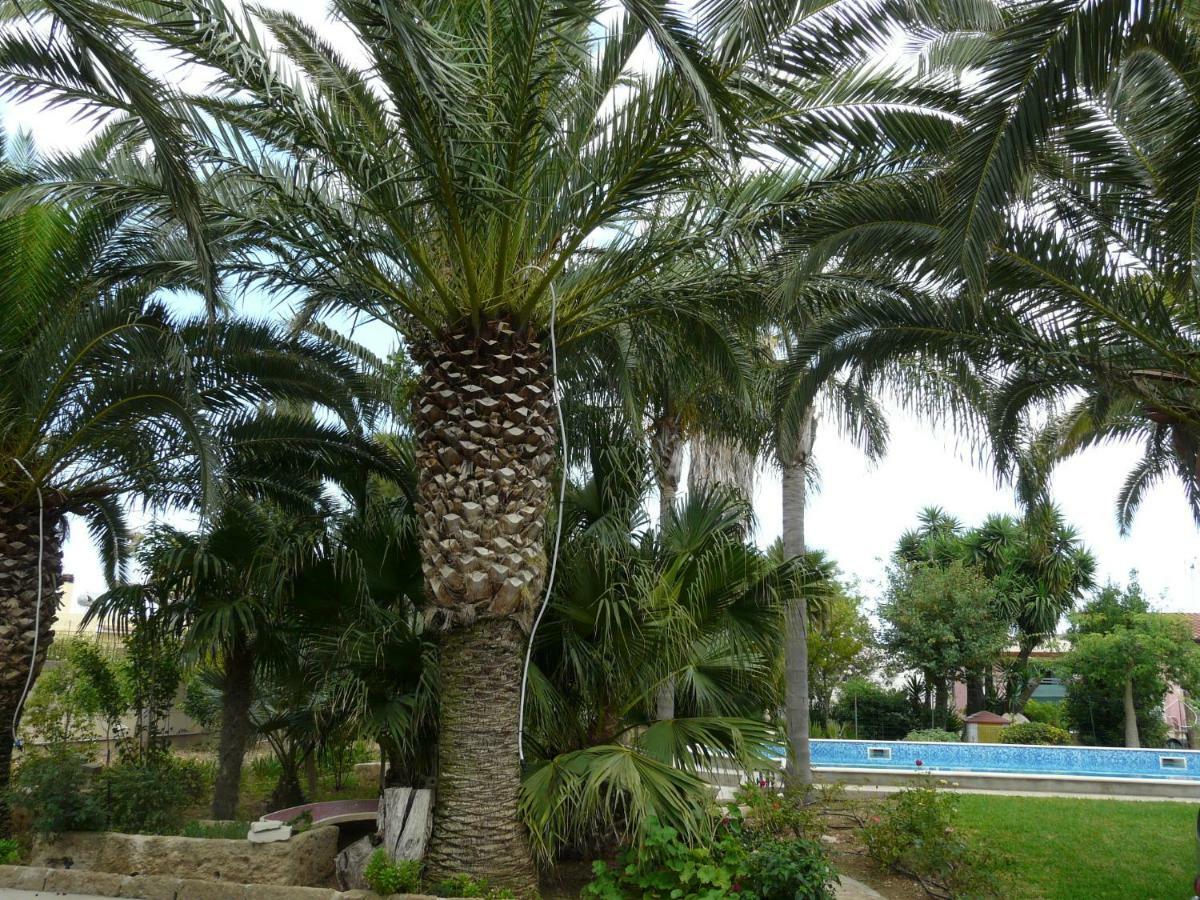 Villa Yucca Avola Dış mekan fotoğraf