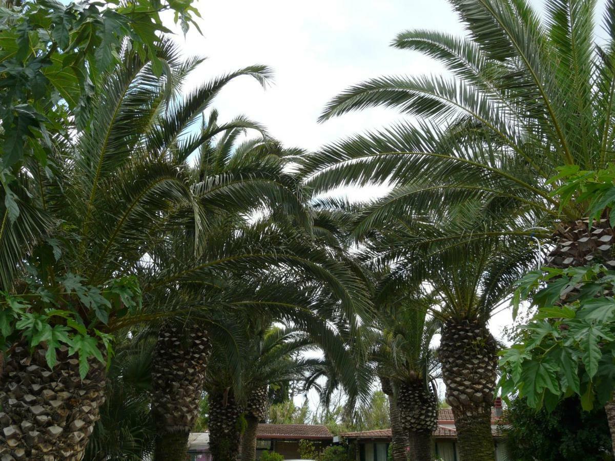 Villa Yucca Avola Dış mekan fotoğraf