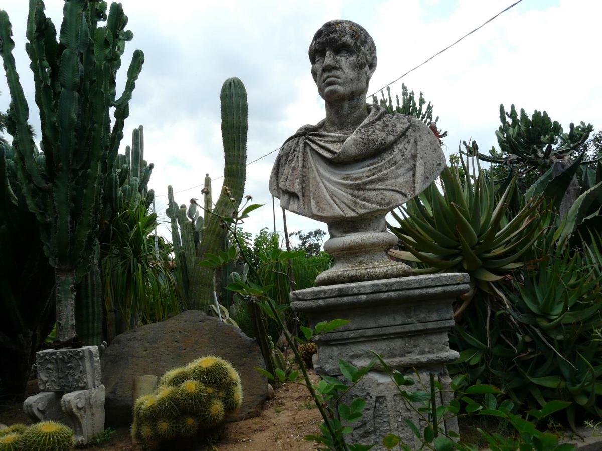 Villa Yucca Avola Dış mekan fotoğraf