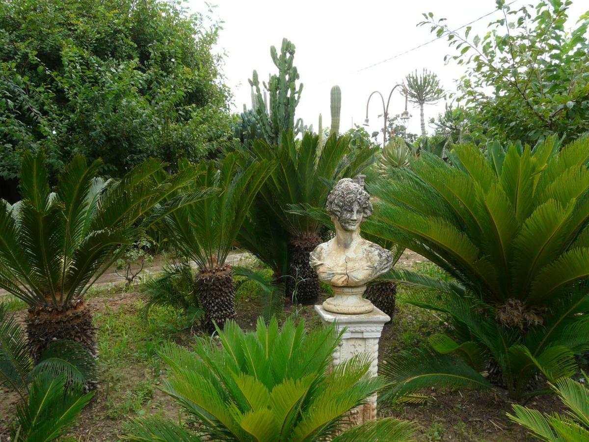 Villa Yucca Avola Dış mekan fotoğraf