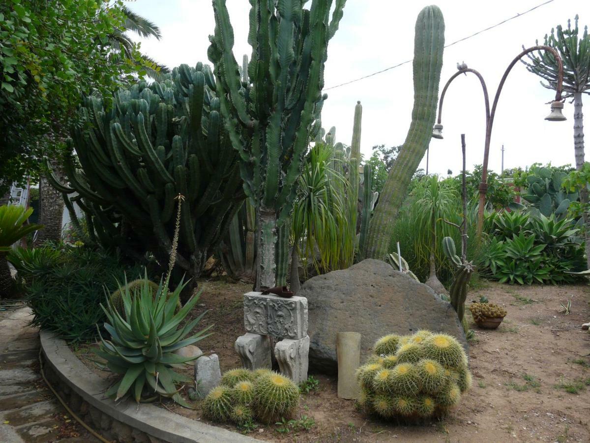 Villa Yucca Avola Dış mekan fotoğraf